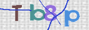 CAPTCHA (Şahıs Denetim Kodu) Resmi