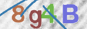 CAPTCHA (Şahıs Denetim Kodu) Resmi