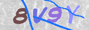 CAPTCHA (Şahıs Denetim Kodu) Resmi