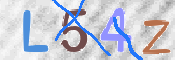 CAPTCHA (Şahıs Denetim Kodu) Resmi