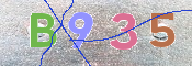 CAPTCHA (Şahıs Denetim Kodu) Resmi