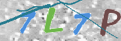 CAPTCHA (Şahıs Denetim Kodu) Resmi