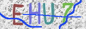 CAPTCHA (Şahıs Denetim Kodu) Resmi