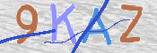 CAPTCHA (Şahıs Denetim Kodu) Resmi