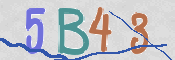CAPTCHA (Şahıs Denetim Kodu) Resmi