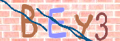 CAPTCHA (Şahıs Denetim Kodu) Resmi