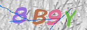 CAPTCHA (Şahıs Denetim Kodu) Resmi