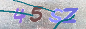 CAPTCHA (Şahıs Denetim Kodu) Resmi