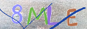 CAPTCHA (Şahıs Denetim Kodu) Resmi