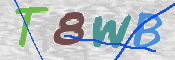 CAPTCHA (Şahıs Denetim Kodu) Resmi