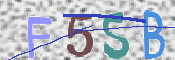 CAPTCHA (Şahıs Denetim Kodu) Resmi