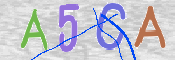 CAPTCHA (Şahıs Denetim Kodu) Resmi