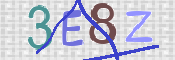 CAPTCHA (Şahıs Denetim Kodu) Resmi