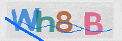 CAPTCHA (Şahıs Denetim Kodu) Resmi