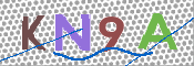 CAPTCHA (Şahıs Denetim Kodu) Resmi