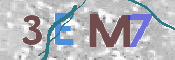 CAPTCHA (Şahıs Denetim Kodu) Resmi