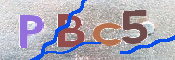 CAPTCHA (Şahıs Denetim Kodu) Resmi
