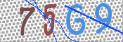 CAPTCHA (Şahıs Denetim Kodu) Resmi