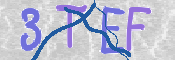 CAPTCHA (Şahıs Denetim Kodu) Resmi