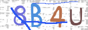 CAPTCHA (Şahıs Denetim Kodu) Resmi