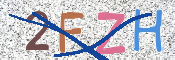 CAPTCHA (Şahıs Denetim Kodu) Resmi