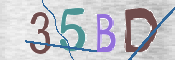 CAPTCHA (Şahıs Denetim Kodu) Resmi