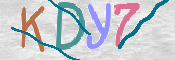 CAPTCHA (Şahıs Denetim Kodu) Resmi