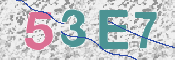 CAPTCHA (Şahıs Denetim Kodu) Resmi