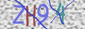 CAPTCHA (Şahıs Denetim Kodu) Resmi