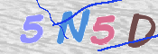 CAPTCHA (Şahıs Denetim Kodu) Resmi