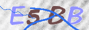 CAPTCHA (Şahıs Denetim Kodu) Resmi