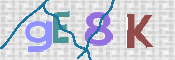 CAPTCHA (Şahıs Denetim Kodu) Resmi