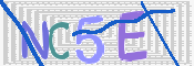 CAPTCHA (Şahıs Denetim Kodu) Resmi