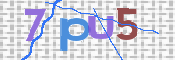 CAPTCHA (Şahıs Denetim Kodu) Resmi