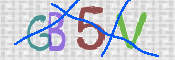 CAPTCHA (Şahıs Denetim Kodu) Resmi