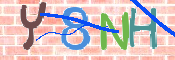 CAPTCHA (Şahıs Denetim Kodu) Resmi