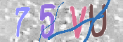 CAPTCHA (Şahıs Denetim Kodu) Resmi