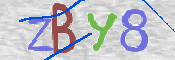 CAPTCHA (Şahıs Denetim Kodu) Resmi