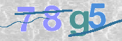 CAPTCHA (Şahıs Denetim Kodu) Resmi
