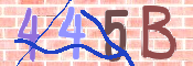 CAPTCHA (Şahıs Denetim Kodu) Resmi