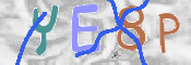 CAPTCHA (Şahıs Denetim Kodu) Resmi