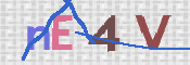 CAPTCHA (Şahıs Denetim Kodu) Resmi