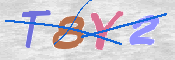 CAPTCHA (Şahıs Denetim Kodu) Resmi