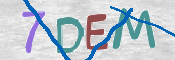 CAPTCHA (Şahıs Denetim Kodu) Resmi