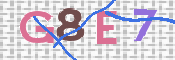 CAPTCHA (Şahıs Denetim Kodu) Resmi