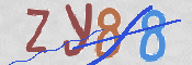 CAPTCHA (Şahıs Denetim Kodu) Resmi