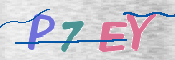 CAPTCHA (Şahıs Denetim Kodu) Resmi