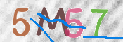 CAPTCHA (Şahıs Denetim Kodu) Resmi