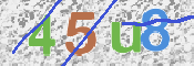 CAPTCHA (Şahıs Denetim Kodu) Resmi