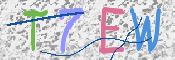 CAPTCHA (Şahıs Denetim Kodu) Resmi